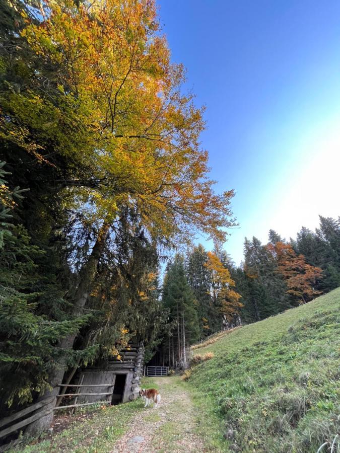 Silber Lodge Im Wiesenstein Auffach Exterior foto